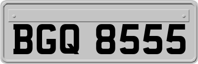 BGQ8555