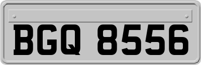 BGQ8556