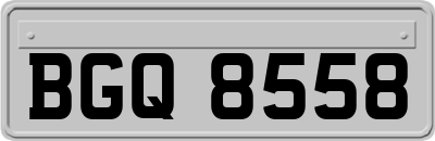 BGQ8558