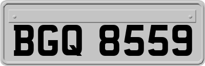 BGQ8559