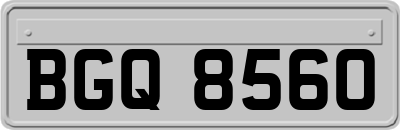 BGQ8560