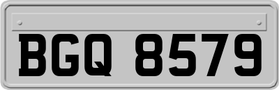 BGQ8579