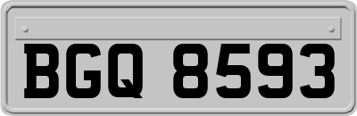 BGQ8593
