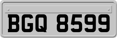 BGQ8599