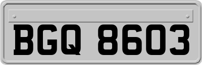 BGQ8603