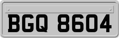 BGQ8604