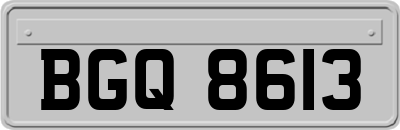 BGQ8613
