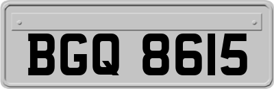 BGQ8615
