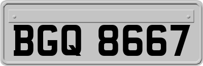 BGQ8667
