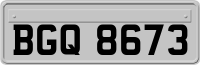 BGQ8673