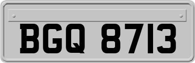 BGQ8713