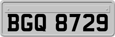 BGQ8729