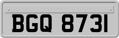 BGQ8731