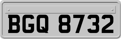 BGQ8732