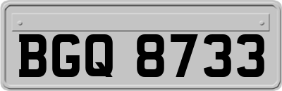 BGQ8733
