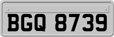 BGQ8739