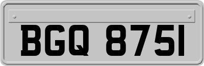 BGQ8751