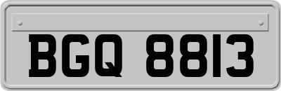 BGQ8813