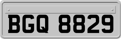 BGQ8829