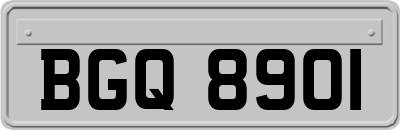 BGQ8901