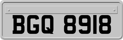 BGQ8918