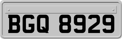 BGQ8929