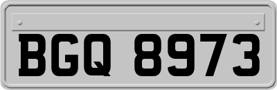 BGQ8973