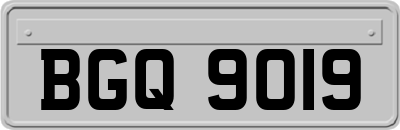 BGQ9019