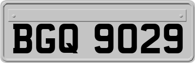BGQ9029