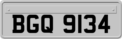 BGQ9134
