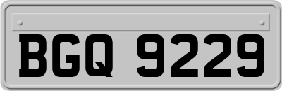 BGQ9229