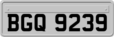 BGQ9239