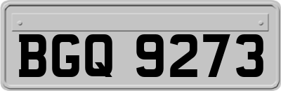 BGQ9273