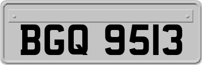 BGQ9513
