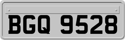 BGQ9528
