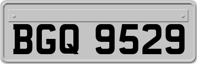 BGQ9529