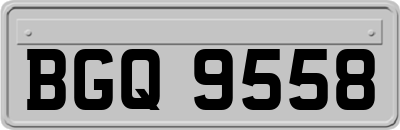 BGQ9558