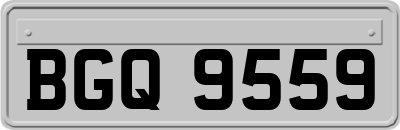 BGQ9559