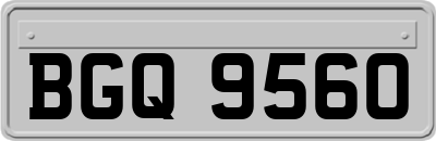 BGQ9560