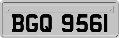 BGQ9561
