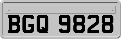 BGQ9828