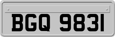 BGQ9831