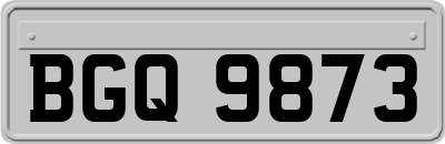 BGQ9873