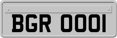 BGR0001