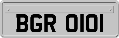 BGR0101