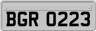BGR0223
