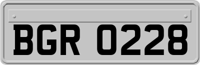 BGR0228