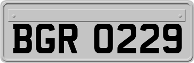 BGR0229
