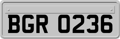 BGR0236