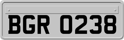 BGR0238